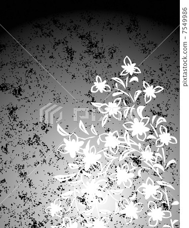 Floral  7549986