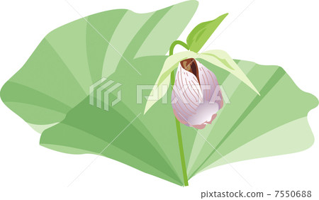 Affiliation Affiliation 7550688