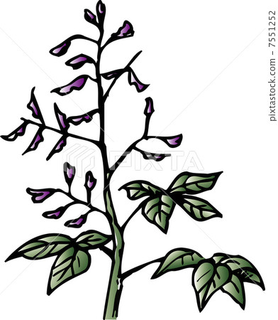 Nusubitohagi 7551252