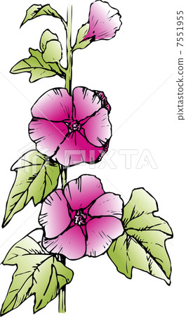 Tattooi 7551955