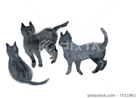 一隻貓 7551962