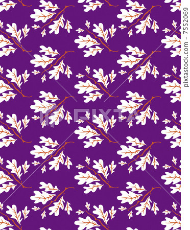 非截面圖案 非截面圖案 7552069