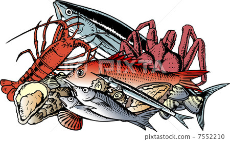 Fish and shellfish - Stock Illustration [7552210] - PIXTA
