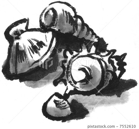 貝類 貝類 7552610