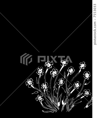 花卉圖案 花卉圖案 7553033