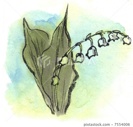 Lily of the valley Lily of the valley 7554006