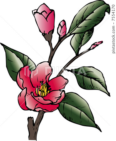 椿由紀 椿由紀 7554170