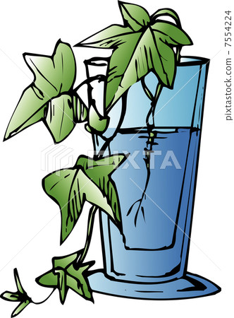 Hydroponic culture 7554224