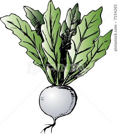 Suzuna Suzuna 7554265