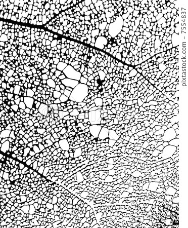抽象繪畫模式 抽象繪畫模式 7554837