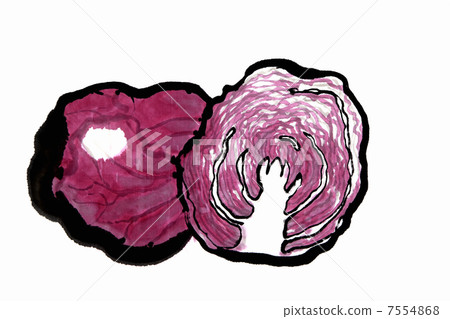 Purple cabbage 7554868