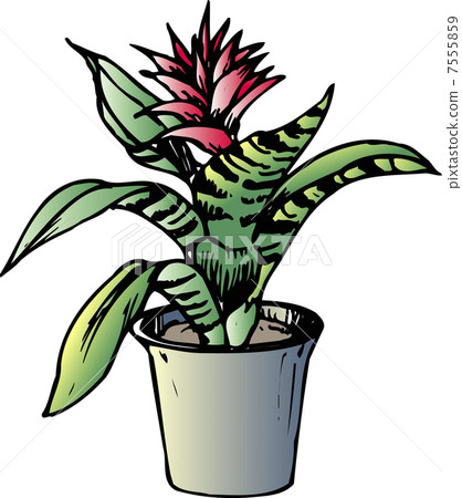 Ekmere Fatcatar Ekmere Fatcatar 7555859