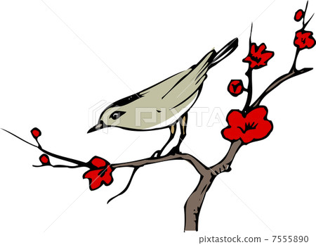 Ume and Ugui 7555890