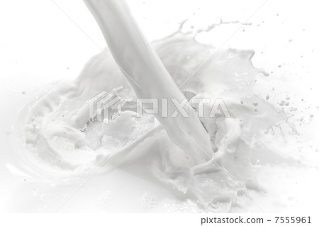 milk splash milk splash 7555961