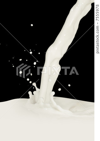 milk splash milk splash 7555978