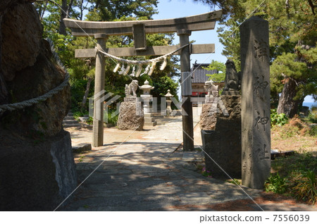 佐渡東海岸津市神社 7556039