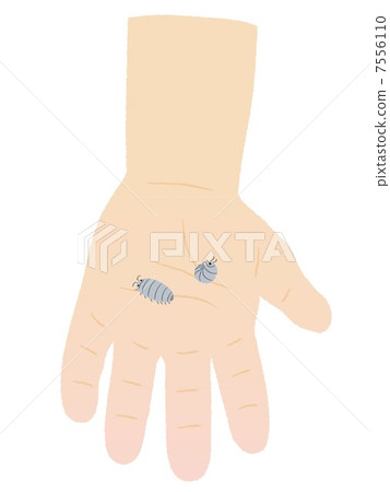 糞甲蟲在手掌上 7556110