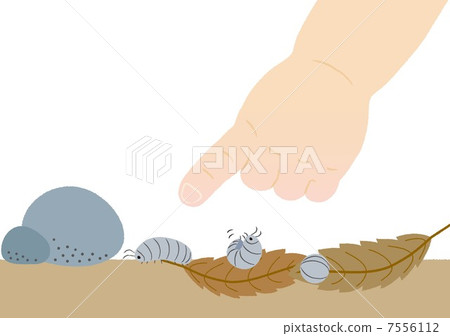 D螂發現了 7556112