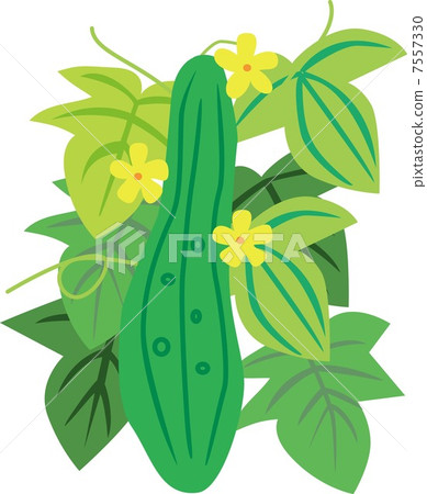 Fruit of the ladle 7557330