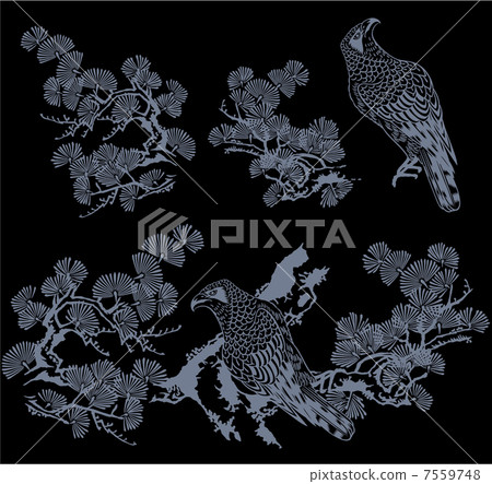 Eagle in pine 7559748
