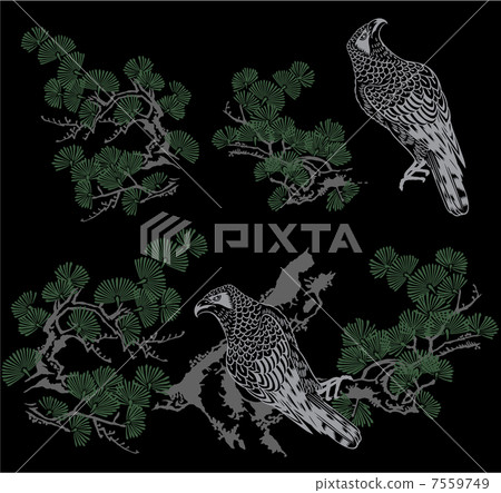 Eagle in pine 7559749