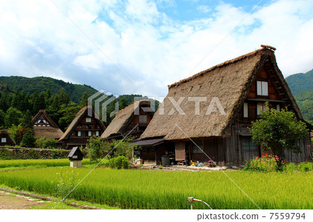 Japanese Architecture 7559794