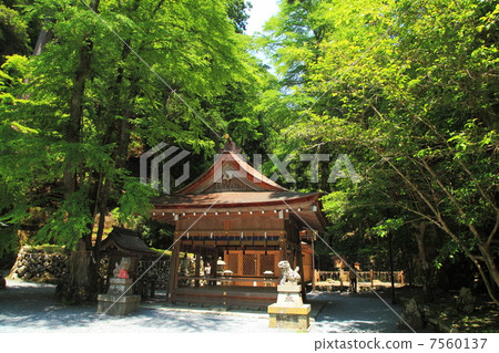 初夏的Kibune神社 7560137