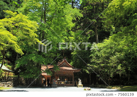 初夏的Kibune神社 7560139