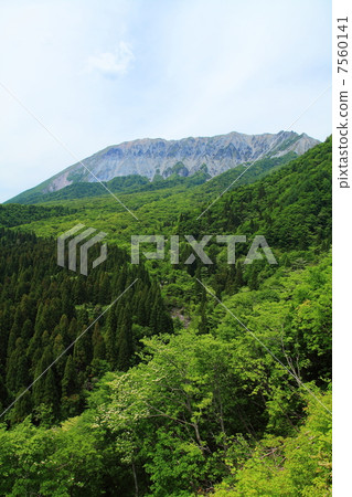 初夏的新山綠色的小山 7560141