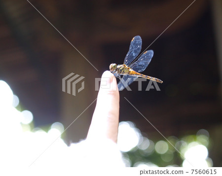 This finger and rare This finger and rare 7560615