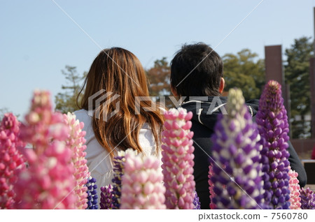 花情人 花情人 7560780