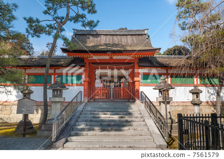 Saikai Oimoto 7561579