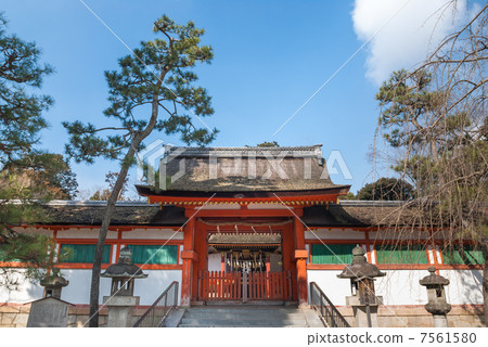 Saikai Oimoto 7561580