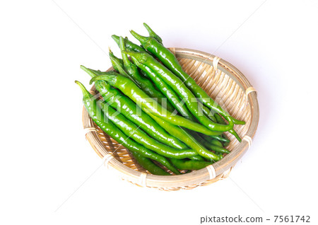 Sweet long bean sprout 7561742