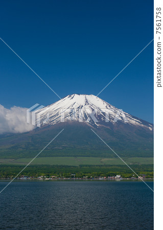 Fuji seen from Yamanakako Fuji seen from Yamanakako 7561758