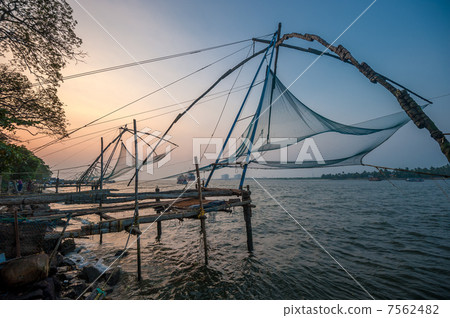 Chinese fishing nets, Kochi, India 7562482