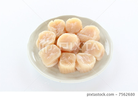 Scallop Scallop 7562680