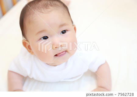 嬰兒 7562728