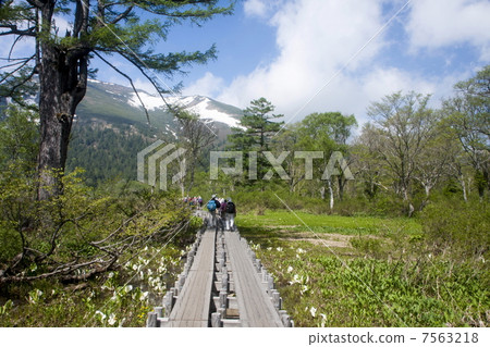 Ozegahara Ozegahara 7563218