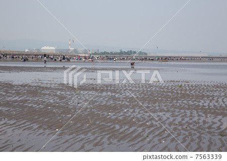 Nakatsu潮汐平面潮汐的風景看法 7563339