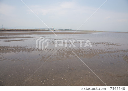 在Yamakuni河口的Nakatsu潮汐平坦 7563340