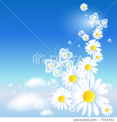 Butterflies and daisy in the sky Butterflies and daisy in the sky 7563452