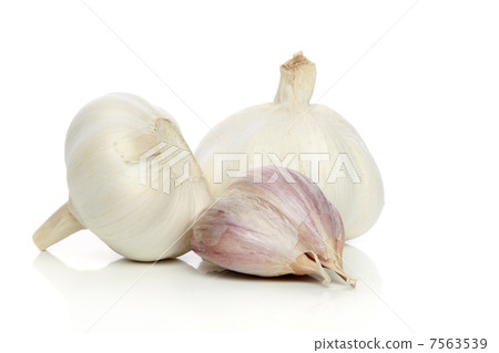 Garlic on a white background Garlic on a white background 7563539