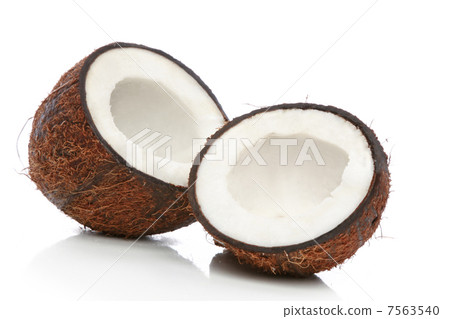 Coconut on a white background 7563540