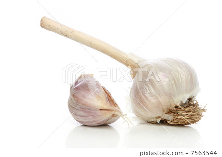 Garlic on a white background 7563544