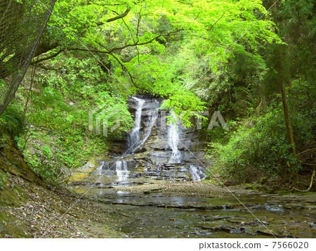 夏天的山谷 7566020