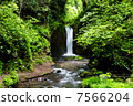 Ryugaku no Waterfall 7566204