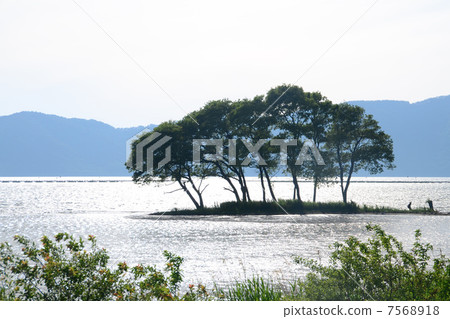 琵琶湖湖北 琵琶湖湖北 7568918
