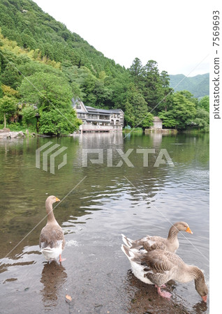 金湖 金湖 7569693