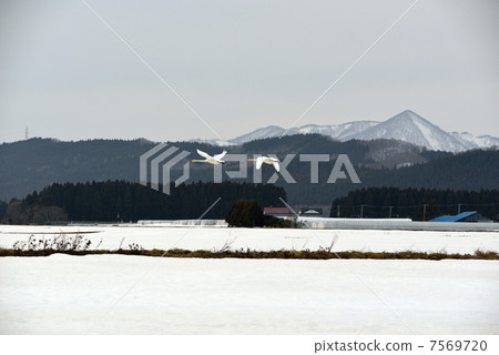 Departure 7569720